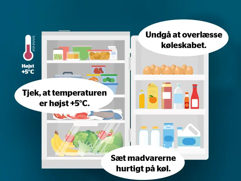 Undgå at overlæsse køleskabet, sæt madvarer hurtigt på køl og tjek, at temperaturen er højst +5 grader celsius