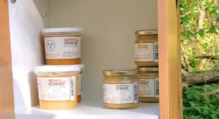Honning i vejbod