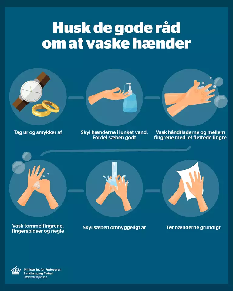 grafik med seks råd om hvordan man bør vaske hænder 